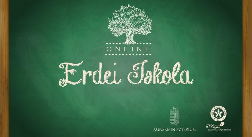Online erdei iskola sorozat indul a Madarak és fák napján