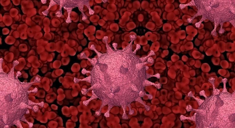 Koronavírus – 677 újabb fertőzött, 91 elhunyt