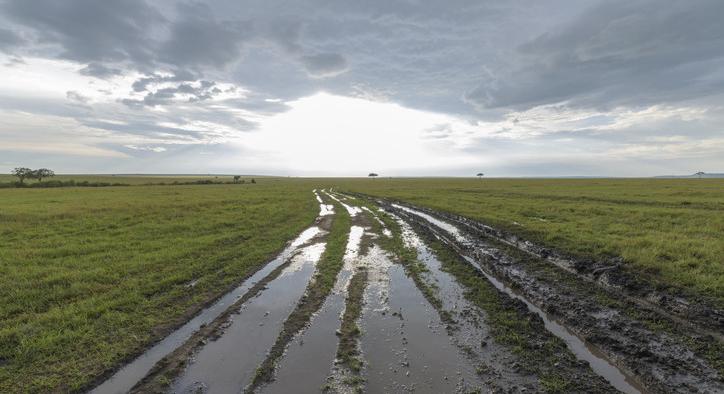 Keresztbe tett a nem várt esőzés a gazdáknak: rengeteg helyen leállították az aratást