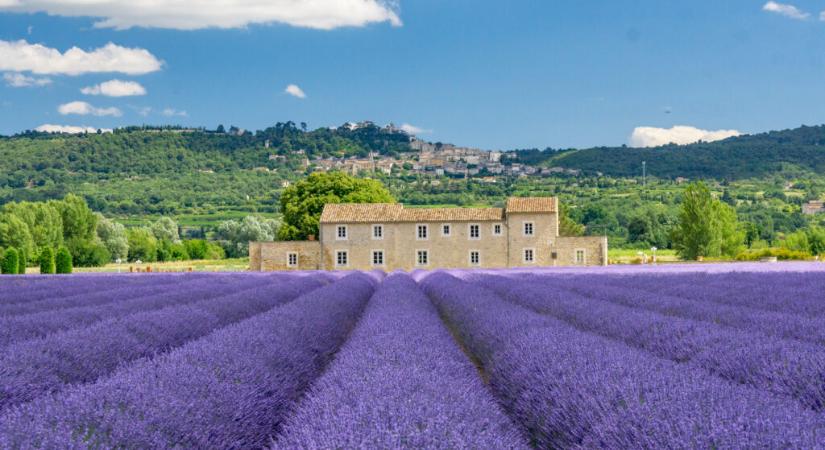5+1 indok, amiért Provence a legjobb franciaországi nyári úti cél idén