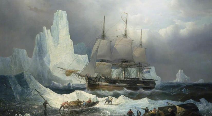 Azonosították a végzetes sarkvidéki expedíció első áldozatát