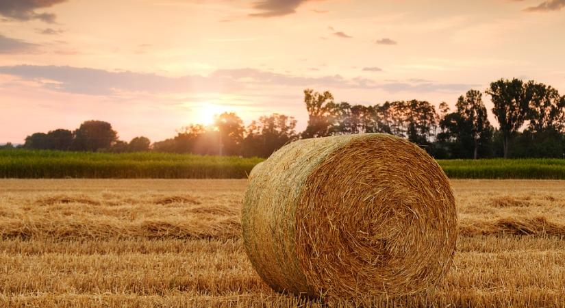 Elkezdődött Romániában a tízévenként végzett agrárcenzus