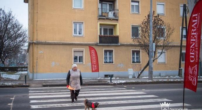 Intelligens zebra épül a fehérvári kórház előtt és a Hosszúsétatéren