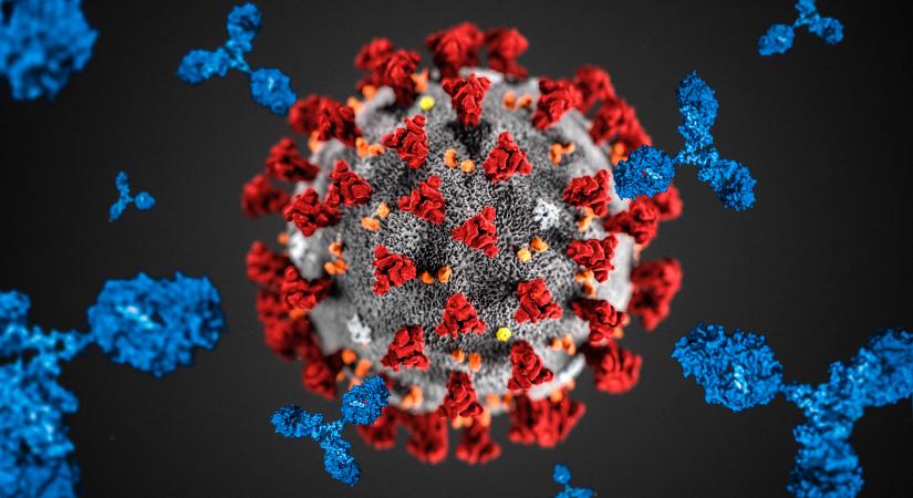 Itt vannak a FRISS hazai koronavírus adatok: 500 alatt az új fertőzöttek száma