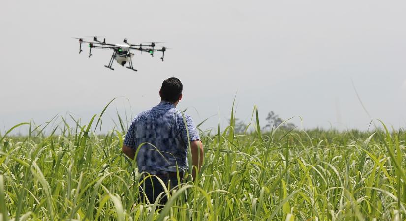 5 éven belül a drónok átvehetik a permetezőgépek szerepét a növényvédelemben