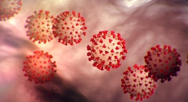 Egy friss tanulmány szerint legalább ennyi ideig maradnak meg az antitestek a szervezetben