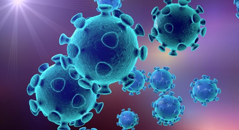 Kiderült: ennyi ideig maradnak meg a koronavírus után az antitestek a szervezetben