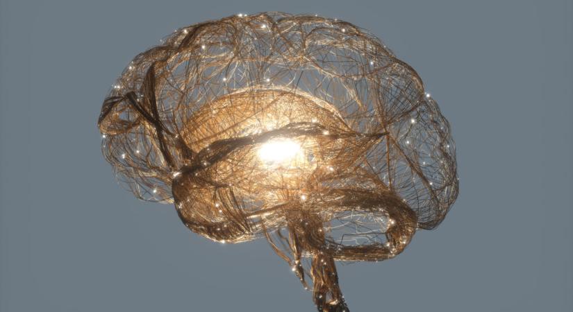 Az agy szürkeállományát is befolyásolhatja a COVID-19