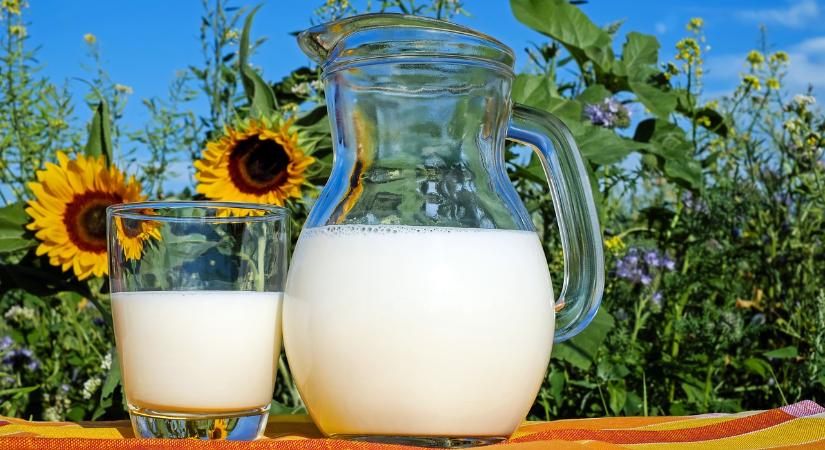 Tej Terméktanács: meg kell akadályozni a magyar tejtermékek piaci visszaszorulását