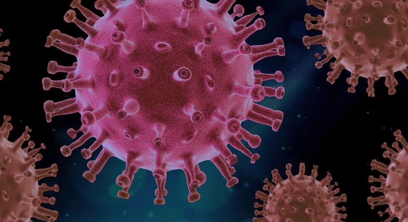 Koronavírus – 1416 új fertőzött, 82 elhunyt