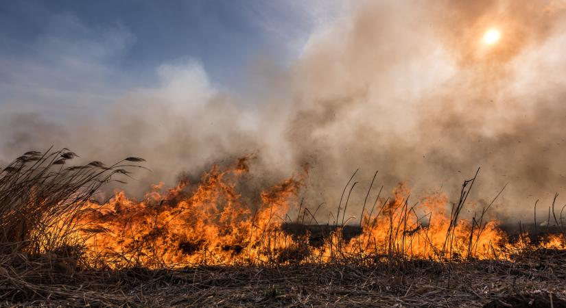 Kigyulladt és hét hektáron leégett a nádas Őrhalom külterületén