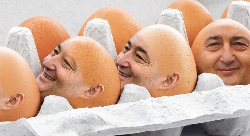 Rengeteg áruházba jutott Mészáros Lőrinc szalmonellás tojásaiból