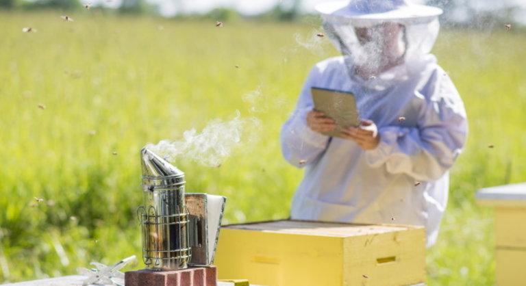 Megszólalt a szakember: a magyar méhészet fekete éve volt az idei