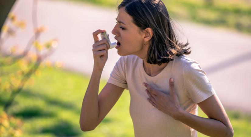Nyáron még nehezebb lesz az asztmások élete - Kis odafigyeléssel enyhíthetők a tünetek