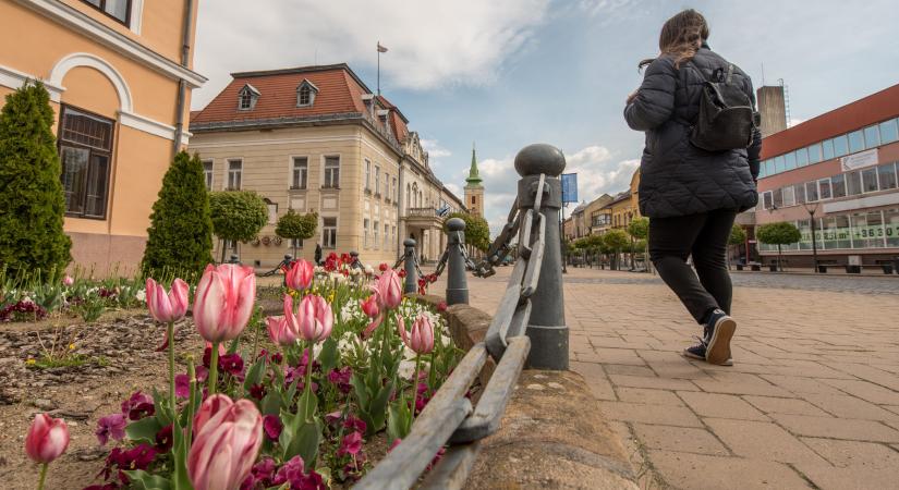 Gyönyörű virágok ékesítik Balassagyarmat utcáit