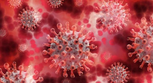 Koronavírus - Meghalt 61 beteg, 718-cal nőtt a fertőzöttek száma Magyarországon