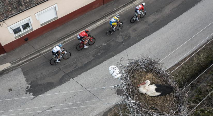 Íme a bizonyíték, hogy miért emeli a Tour de Hongrie az országimázst - galéria