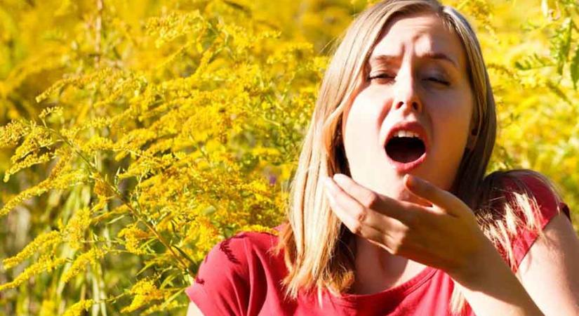 Ezek a leggyakoribb tévhitek az allergia kezeléséről