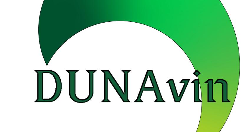 Dunavin online workshop