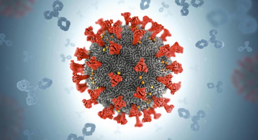 A tudományos közélet egyre inkább hajlik arra, hogy a koronavírus egy laborból szabadulhatott el