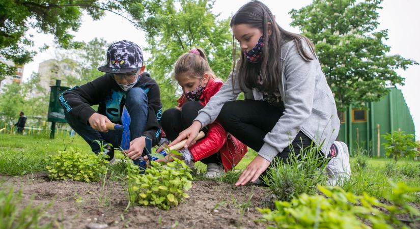 Rákóczis diákok szépítették meg a kecskeméti Érzékelések kertjét