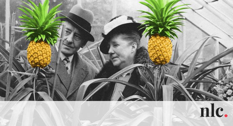 Bérelhető ananásztól a műértő paradicsomig