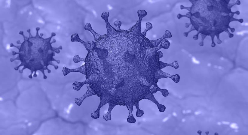 Koronavírus – kevesebb az elhunyt, több az új fertőzött