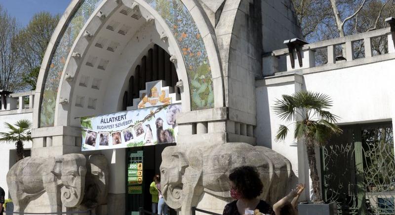 Valaki összegraffitizte a Budapesti Állatkert bejáratánál álló elefántot – Ezt a szót írták rá