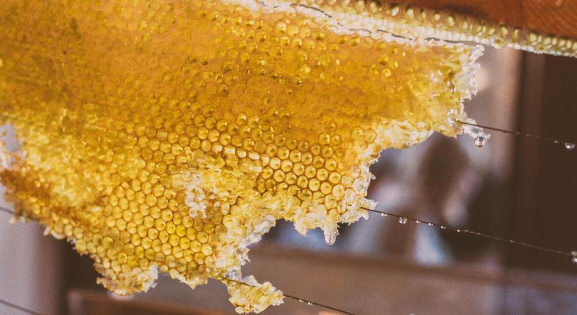 Szorgalmas kis gyógyítóink, a méhek: ilyen az apiterápia a gyakorlatban