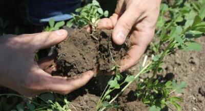 A talajélet fontosságáról
