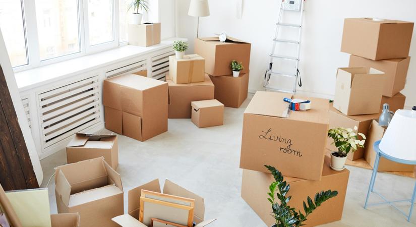 Hangya költöztetés: költözéshez és lomtalanításhoz is
