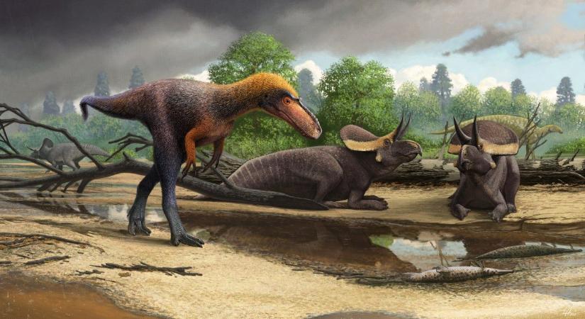 Éhes kisállatok táplálkozhattak az elhullott dinoszauruszok húsából