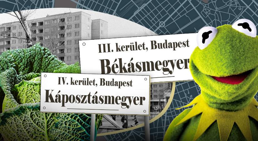 Így lett Káposztás- és Békásmegyer a két jól ismert budapesti lakótelep neve