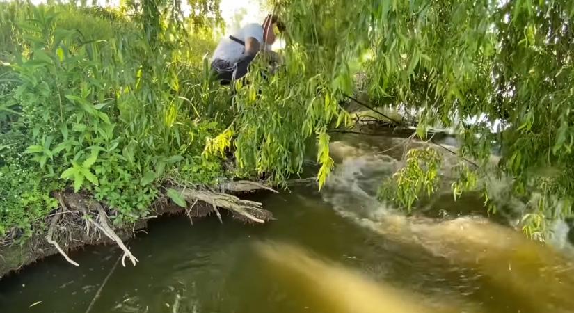 Horgászt rántott vízbe a gigászi harcsa - videón a nem mindennapi eset