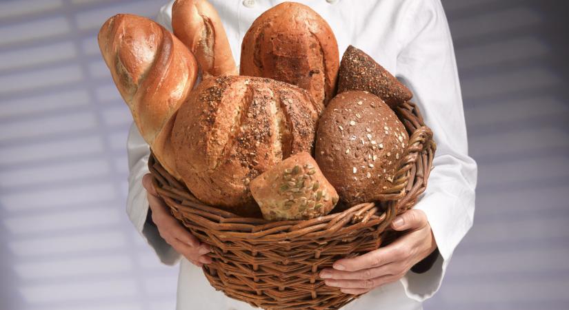 Hány kalória egy szelet kenyér? Fehér kenyér kalória, teljes kiőrlésű kenyér kalória, pirítós kenyér kalória