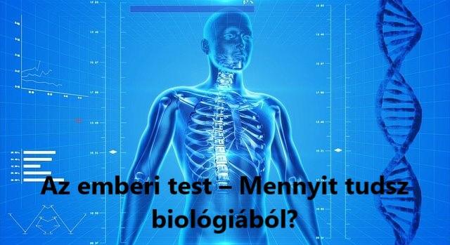Kvíz: Az emberi test – Mennyit tudsz biológiából?