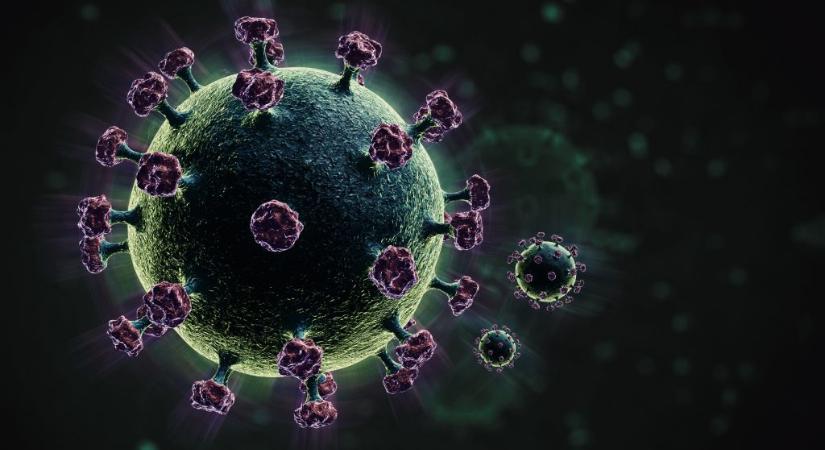 Furcsa módszerrel keresnek fogást a koronavíruson magyar kutatók