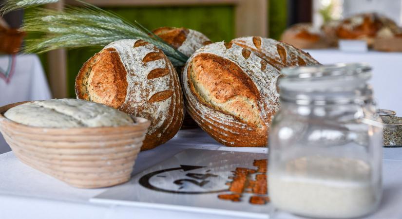 Kiderült: ezek a pékségek sütik 2021 legfinomabb kenyereit Magyarországon