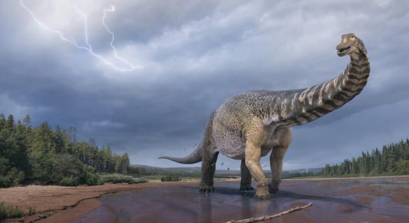 Ez volt Ausztrália legnagyobb dinoszaurusza