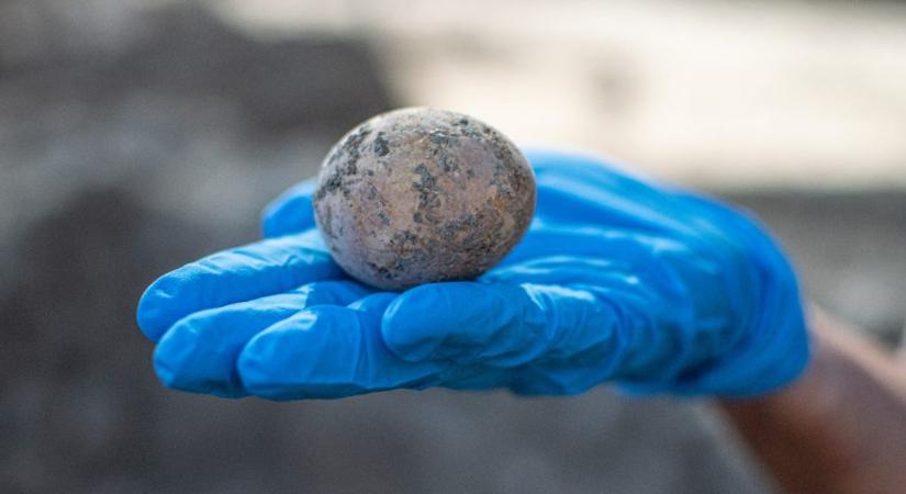 Szinte teljesen ép ezeréves tojásra bukkantak