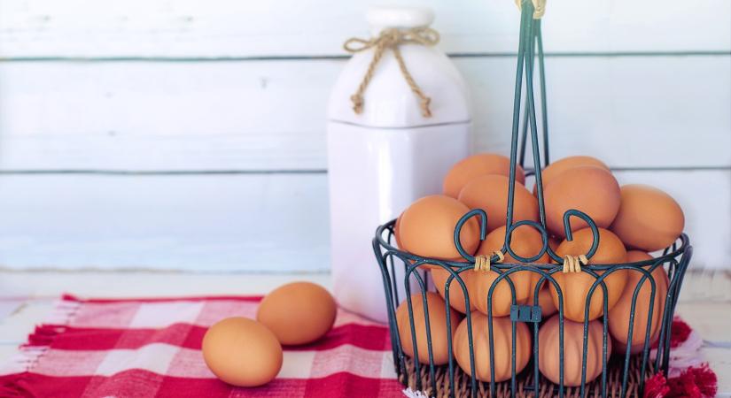 Mi lesz a hazai tojással? Komoly bajban vannak a magyar tojástermelők