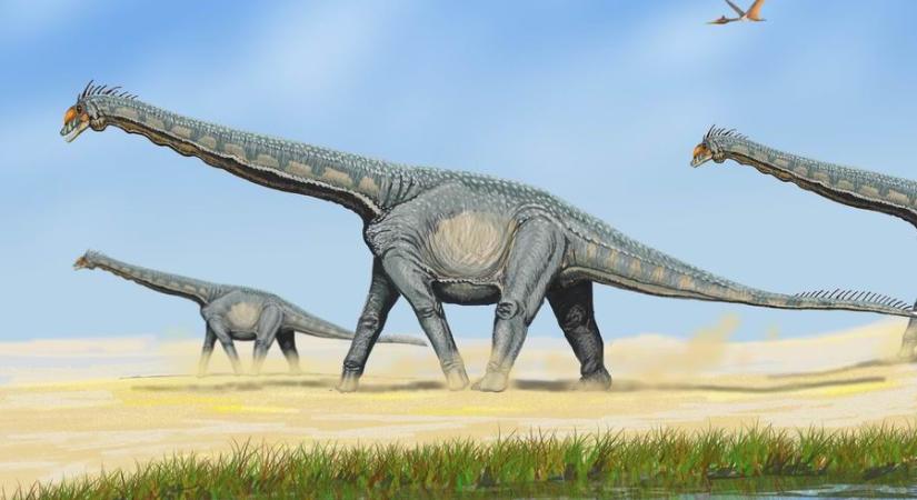 Újabb dinoszauruszfajt azonosítottak Ausztráliában