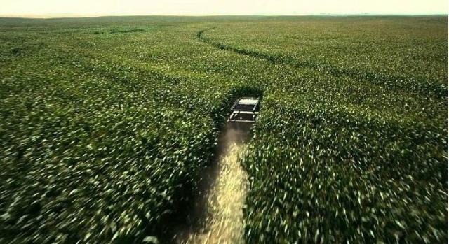A Csillagok között című filmhez a Cristopher Nolan 500 hektár kukoricát ültetett – érdekes napi tények