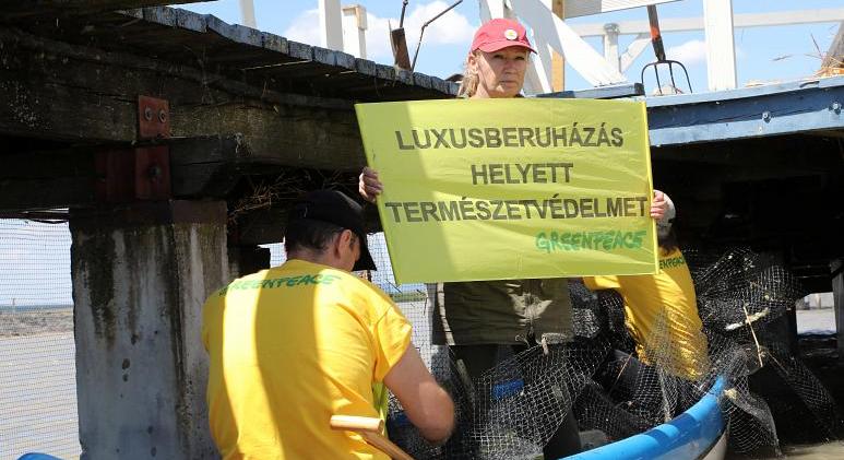 Udvaros Dorottya a fecskék védelmében lépett fel a Greenpeace akciója során