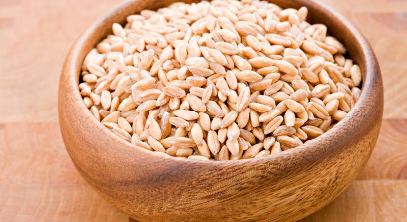 Mi az a farro és hogyan kell elkészíteni? Az ősi gabona egészséges és nagyon izgalmas alapanyag
