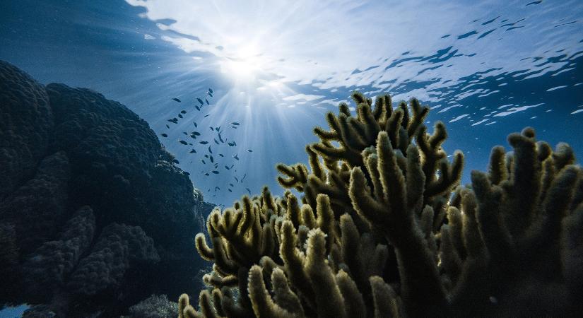 Mesterséges lúgosítással ellensúlyozni lehetne az óceánvíz savasodását