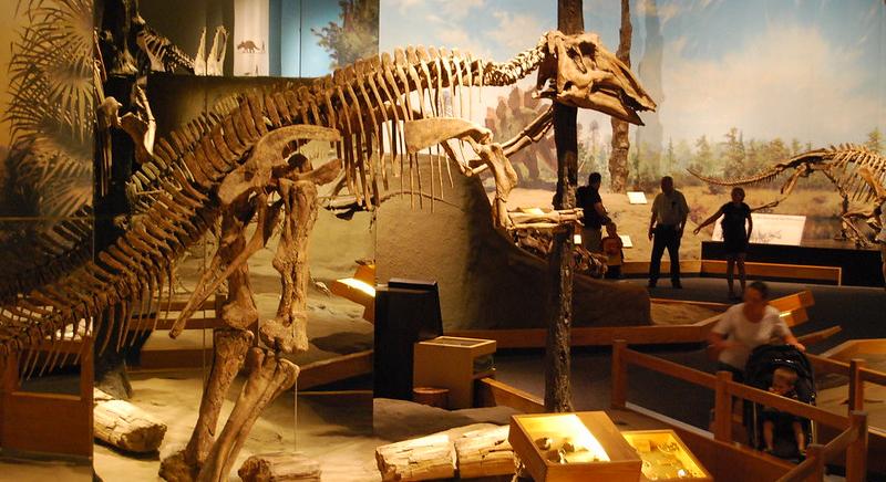 A dinoszaurusz egy újabb faját azonosították paleontológusok