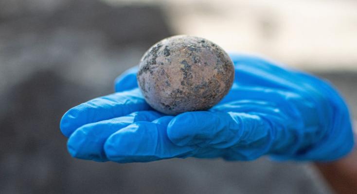 Ezer éves tyúktojást találtak Izraelben