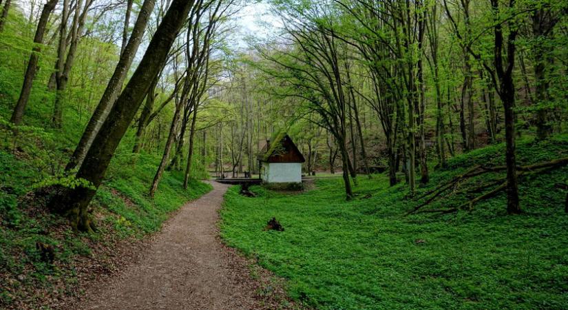 8 mesébe illő, érintetlen hegyi ösvény az országban: harsogó zöldben és nyugodalomban sétálhatsz