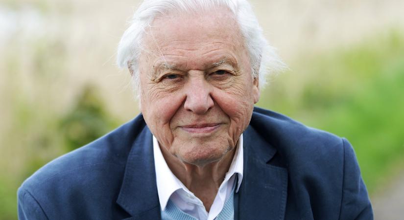 David Attenborough üzenete a G7 vezetőinek több mint mellbevágó